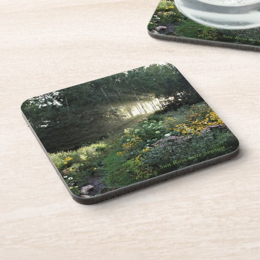 季節の終わりのSunrays コースター (左側)