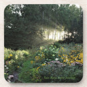 季節の終わりのSunrays コースター (正面)