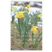 季節の花々のカレンダー カレンダー (2月 2026)