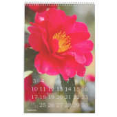 季節の花々のカレンダー カレンダー (1月 2027)
