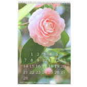 季節の花々のカレンダー カレンダー (2月 2027)