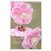 季節の花々のカレンダー カレンダー (2月 2026)