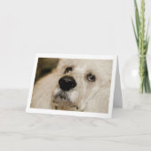 季節の驚異 シーズンカード (正面)