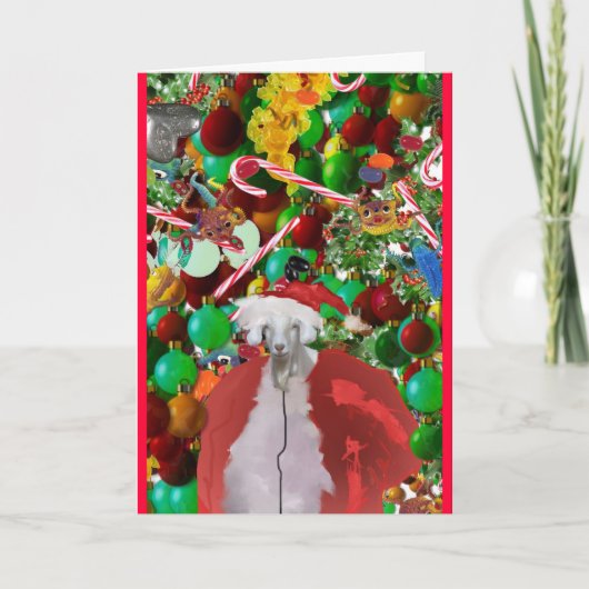 季節のgOaTINgS シーズンカード (正面)