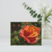 季節を感じて ポストカード (スタンド正面)