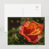 季節を感じて ポストカード (正面/裏面)