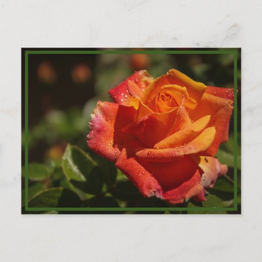 季節を感じて ポストカード (正面)