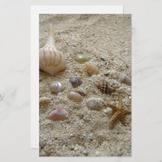 季節文房具のビーチ (正面/裏面)