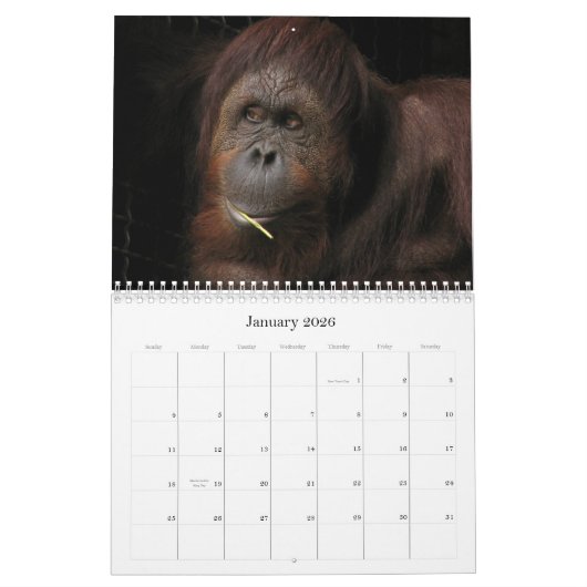 季節的ならだれが気になりますか。 カレンダー (1月 2026)