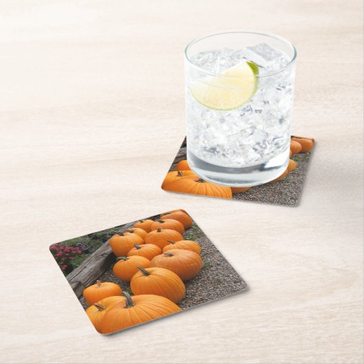 季節的なカボチャ収穫 スクエアペーパーコースター (インサイチュ)