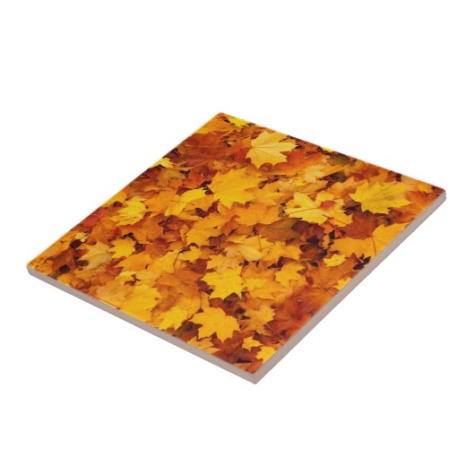 季節紅葉 タイル (側面)