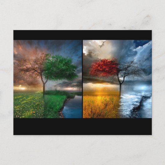 季節 ポストカード (正面)