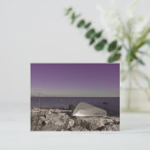 季節: 水系葉書 ポストカード (スタンド正面)