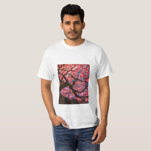 季節 Tシャツ (正面フル)