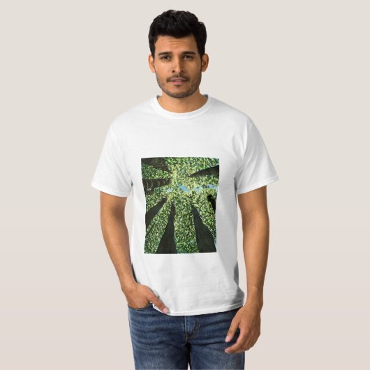 季節 Tシャツ (正面フル)