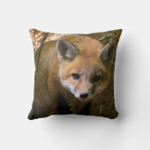 孤の写真の綿の装飾用クッション クッション (裏面)