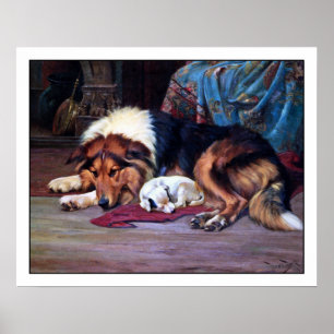 孤児の子犬とコリー – by Wright Barker ポスター