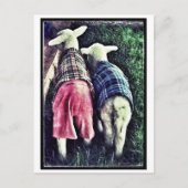 孤児ラム ポストカード (正面)