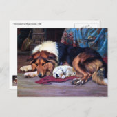 孤児犬とコリーヴィンテージアート ポストカード (正面/裏面)