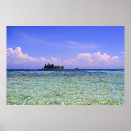 孤島 ポスター (正面)