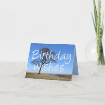 孤木、木好き及び東屋