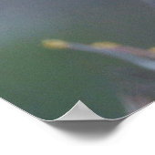 孤独なウォッチャーグレーヘロン ポスター (角)