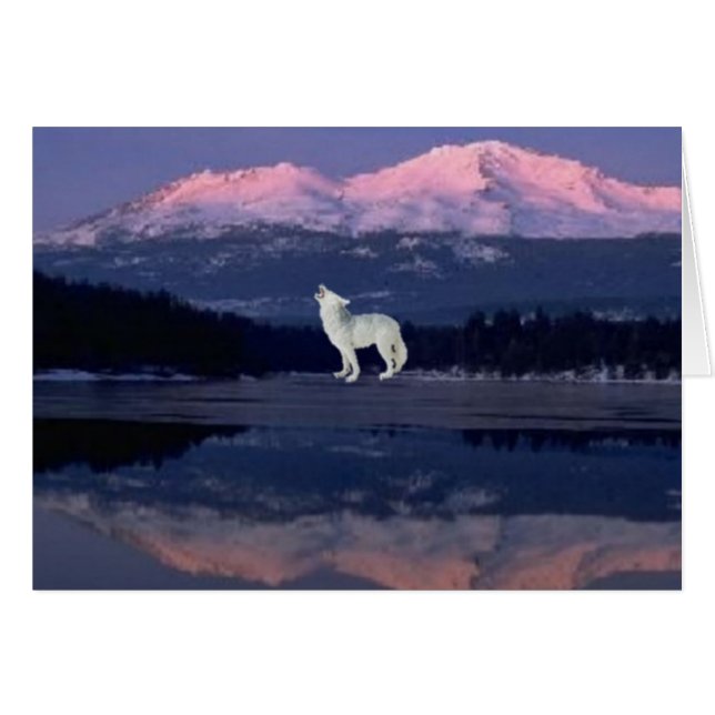 孤独なオオカミ (正面横)