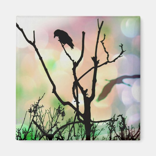 孤独なカラス磁石 マグネット (正面)