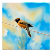 孤独なカラフル ポスター (正面)