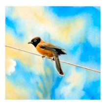 孤独なカラフル