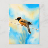 孤独なカラフル ポストカード (正面)