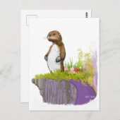 孤独なカワウソ ポストカード (正面/裏面)