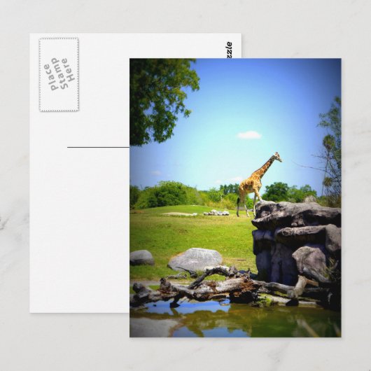 孤独なキリン ポストカード (正面/裏面)