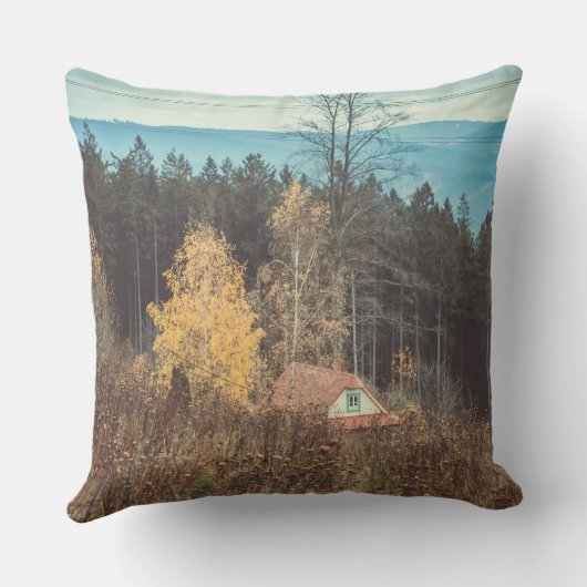 孤独なコテージ クッション (裏面)