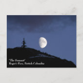 孤独なコンパニオンはがき ポストカード (正面)