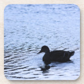 孤独なダックの野生湖水面の波紋写真 コースター (正面)