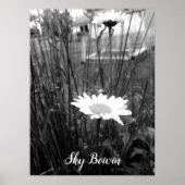 孤独なデイジー ポスター (正面)