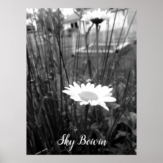 孤独なデイジー ポスター (正面)