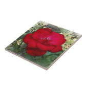 孤独なバラ タイル (側面)