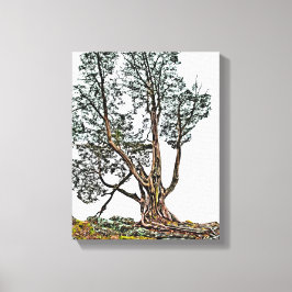 孤独なヒノキ キャンバスプリント