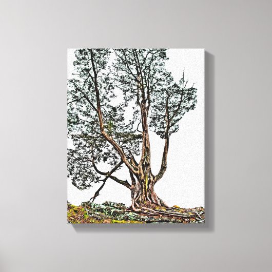 孤独なヒノキ キャンバスプリント (正面)