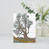 孤独なヒノキ ポストカード (スタンド正面)