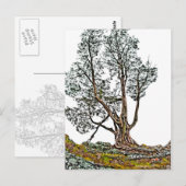 孤独なヒノキ ポストカード (正面/裏面)