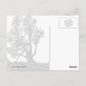 孤独なヒノキ ポストカード (裏面)