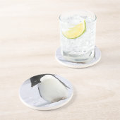 孤独なペンギンのコースター コースター (側面)