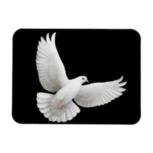 孤独なホワイト鳩プレミアムマグネット マグネット