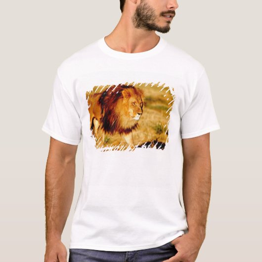 孤独なライオン Tシャツ (正面)