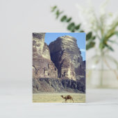 孤独なラクダ、ワディラム砂漠、ヨルダン砂漠 ポストカード (スタンド正面)