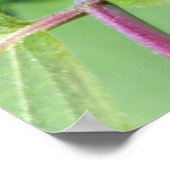 孤独なレディバグ ポスター (角)