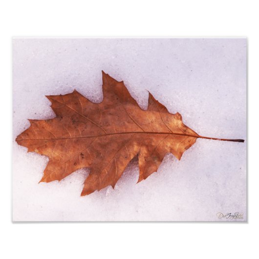 孤独な写真 フォトプリント            (正面)